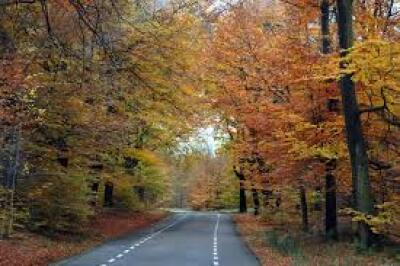 Herfstverrassingstochten